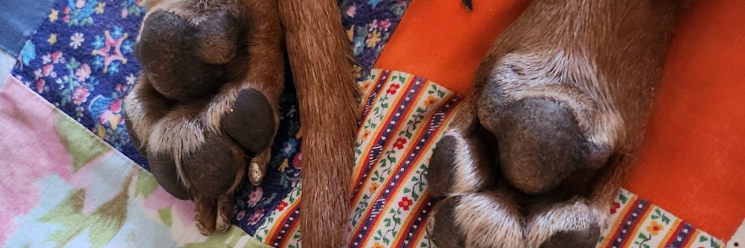 sochie23's profile banner image