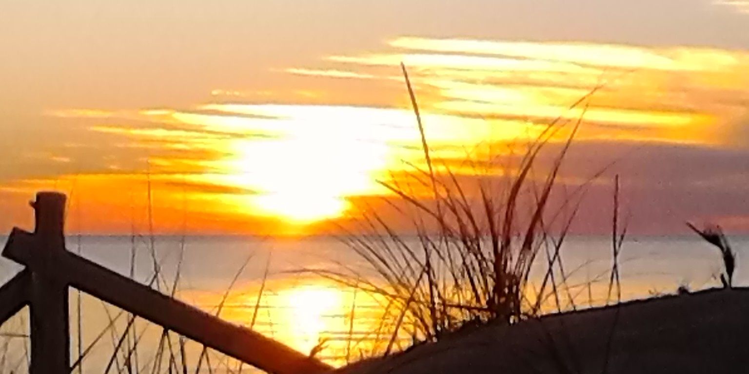 LiberTbyrd's profile banner image