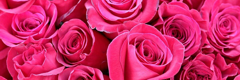 JennyJanco's profile banner image