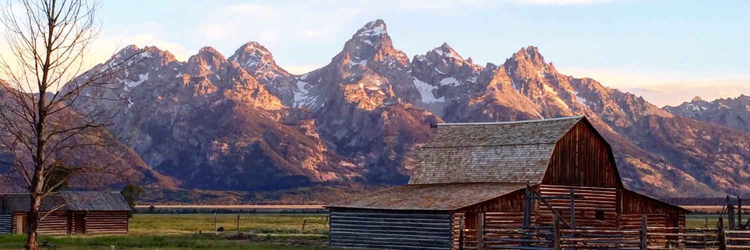 Elise Frisella banner