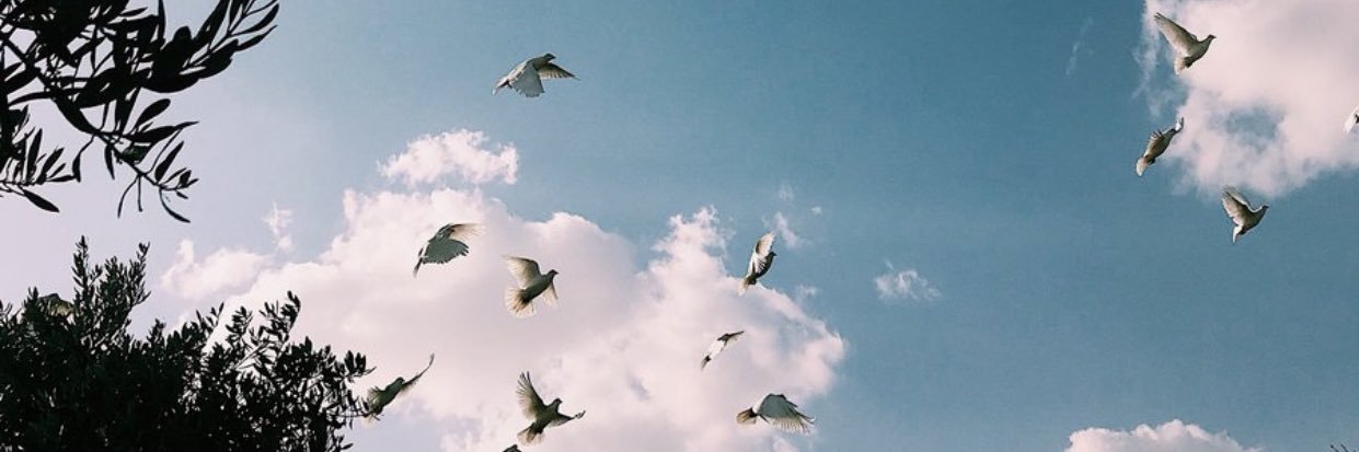 __EMM2N's profile banner image