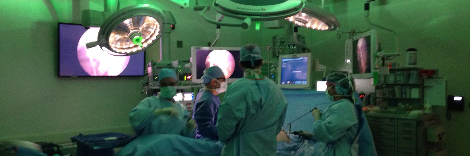 Sherif Abdel-Misih banner