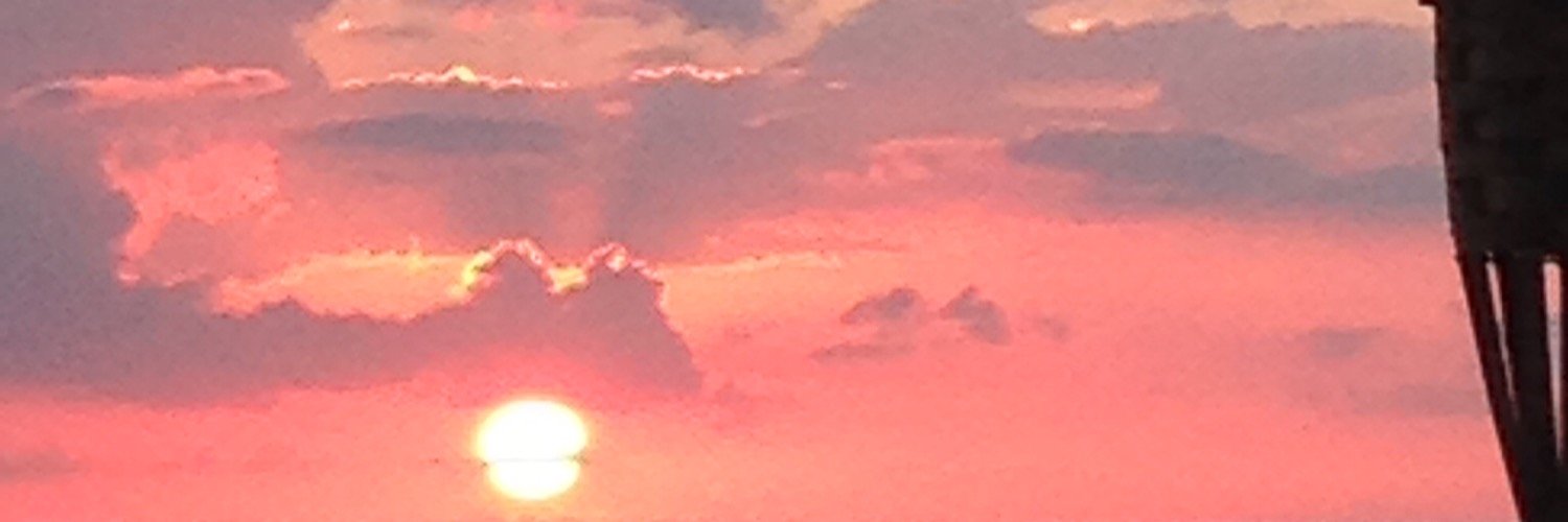 Will_Griggs's profile banner image