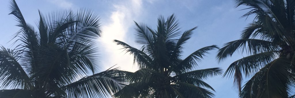amjustme's profile banner image