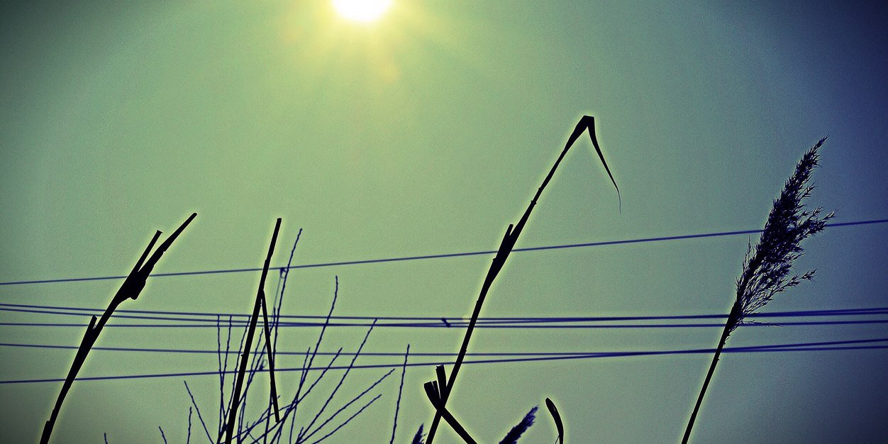 cfrinsta's profile banner image
