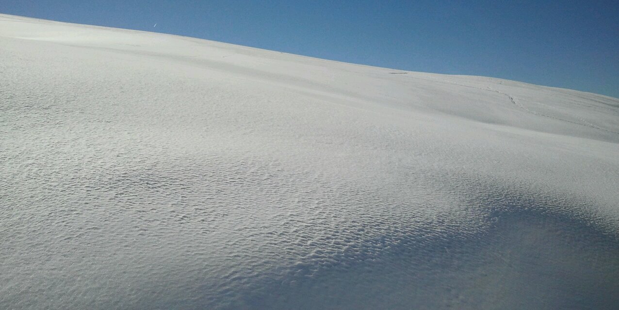 ilfungus's profile banner image