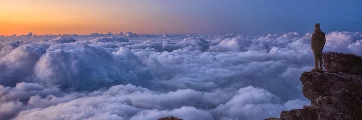 newandrewayne's profile banner image