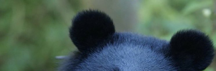 HankAlsup's profile banner image