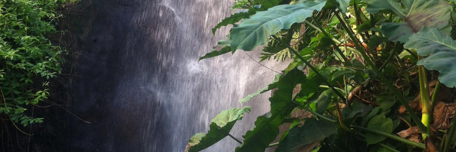 GerringMarie's profile banner image
