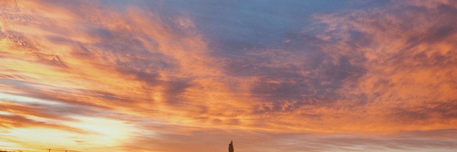 GabbyMitchell5's profile banner image