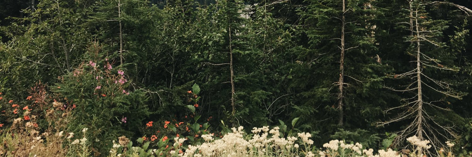 herrongabrielle's profile banner image