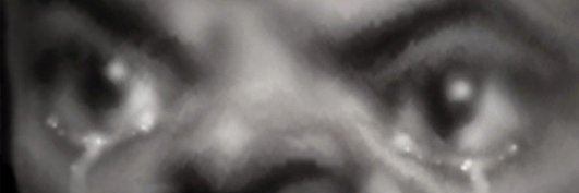 ailedepigeons's profile banner image