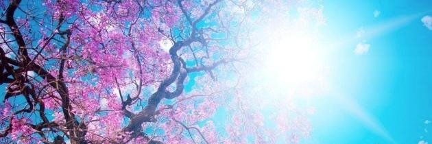 Britain Baker banner