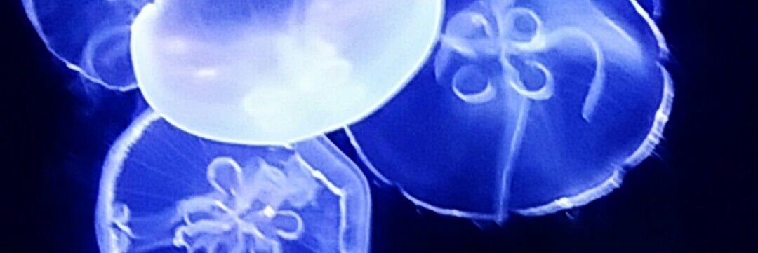 hrn1107's profile banner image