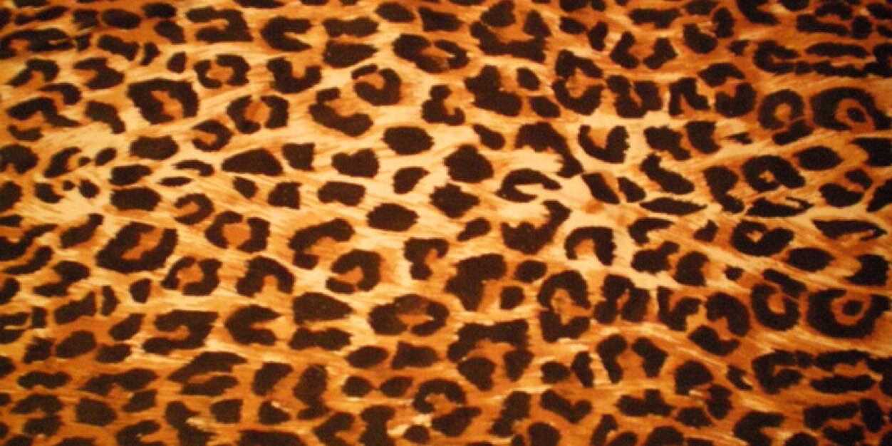 kellykeech's profile banner image