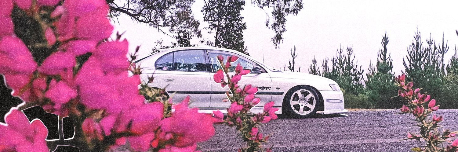 blyzh banner