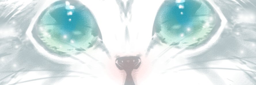 Cest19's profile banner image