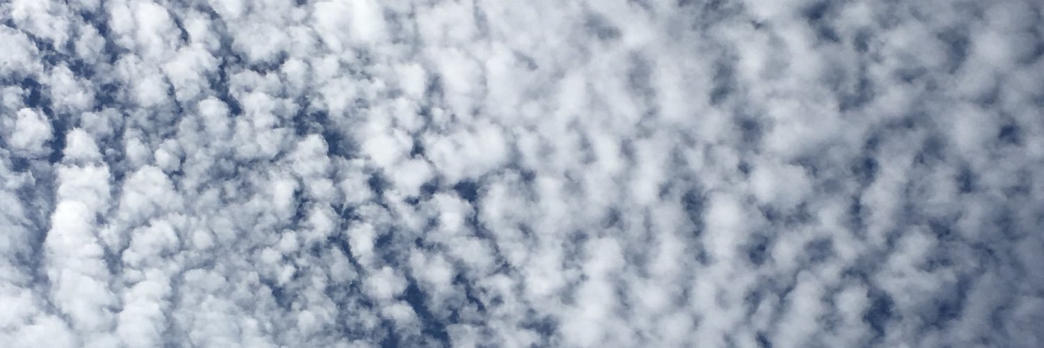 halametora's profile banner image