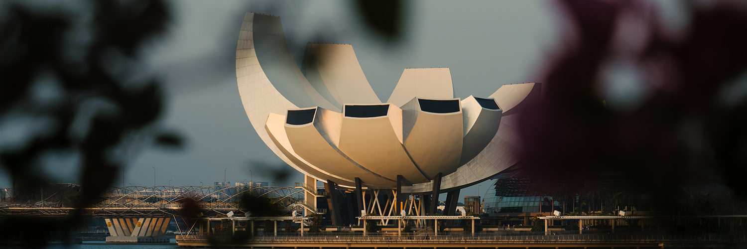ArtScience Museum banner