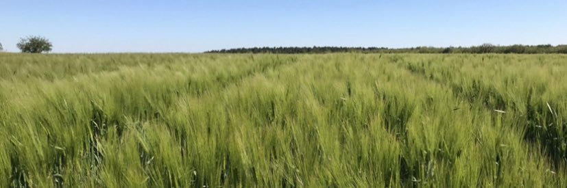 Thomas Bégon banner