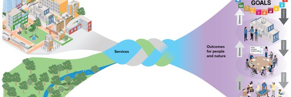 enzer_mark Profile Banner