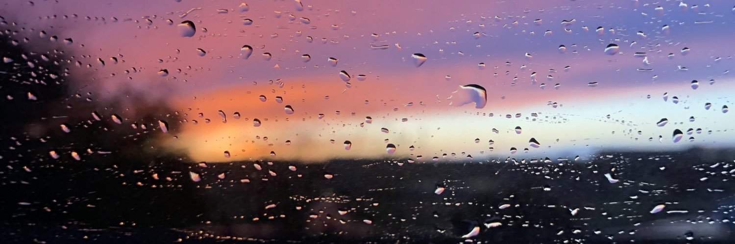 GraceALundquist's profile banner image