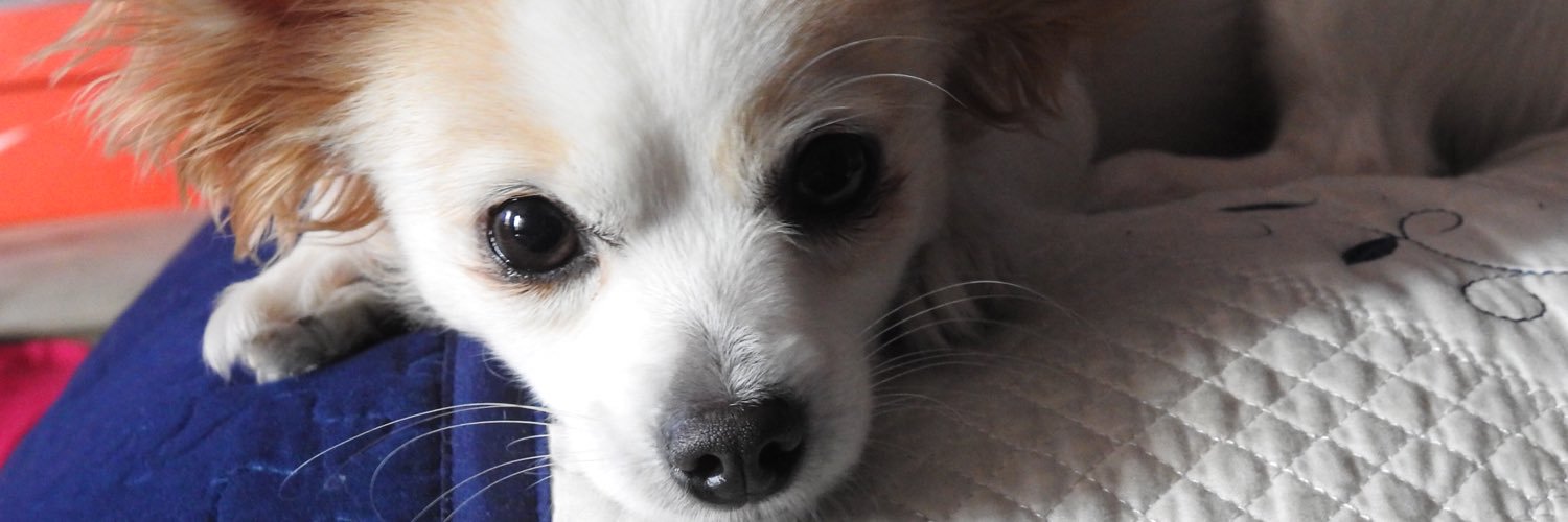KDOX__'s profile banner image