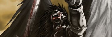Meravoglie's profile banner image