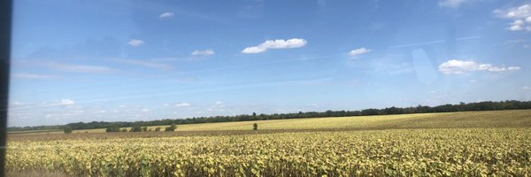 SaAsalid Profile Banner