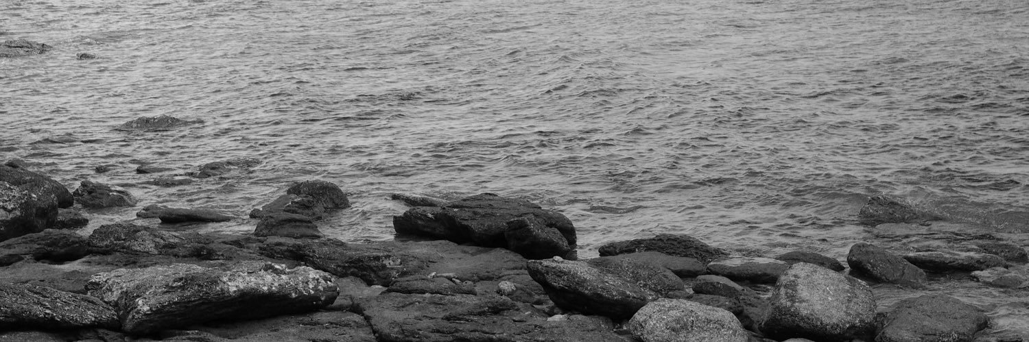 mintttin's profile banner image