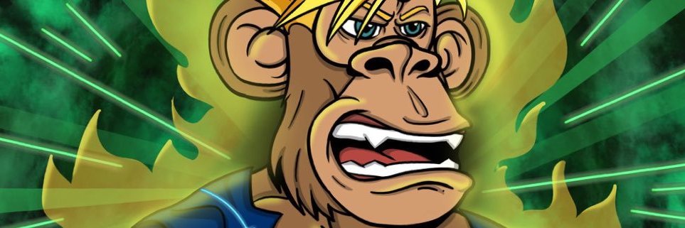 Token_Sherpaa's profile banner image