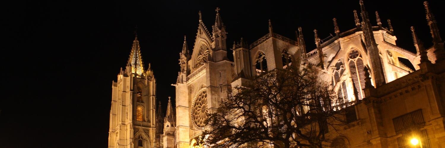 A.P. CHORIZO DE LEON banner