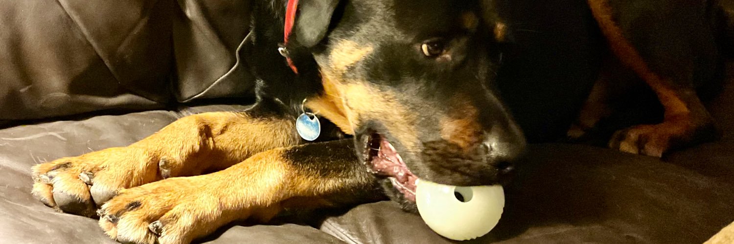 BonzoBaggins's profile banner image