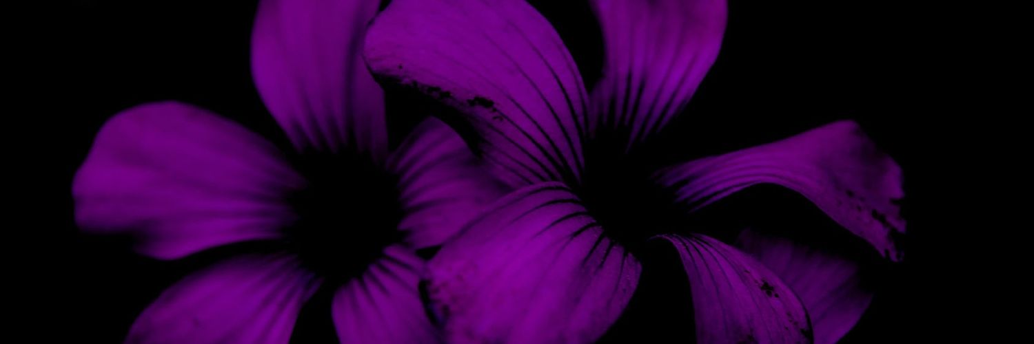 bicare_kiz's profile banner image