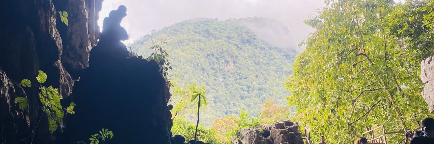 janethvv's profile banner image