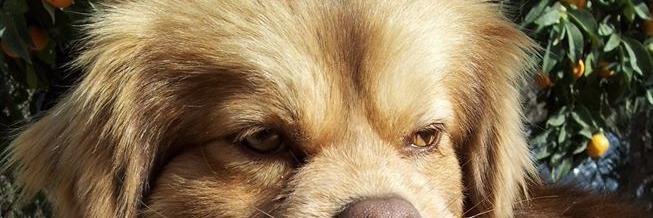 Juney2014's profile banner image