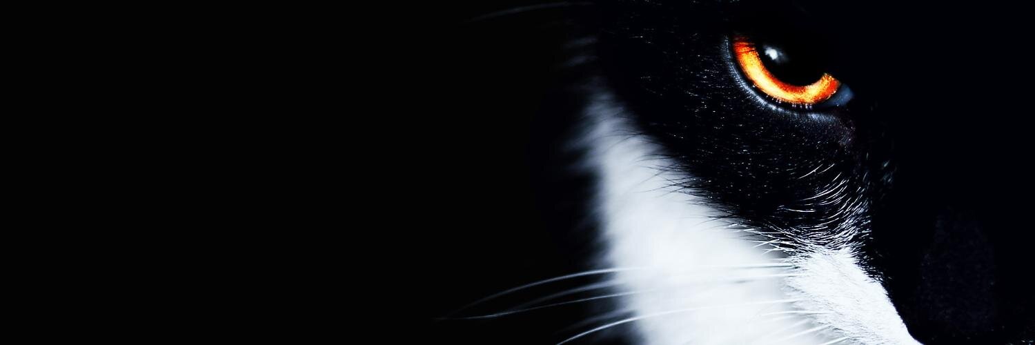 leljadv's profile banner image