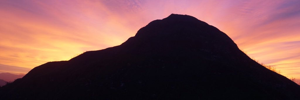 shainamackin's profile banner image