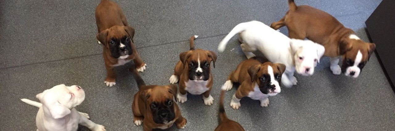 Jessica Wright banner