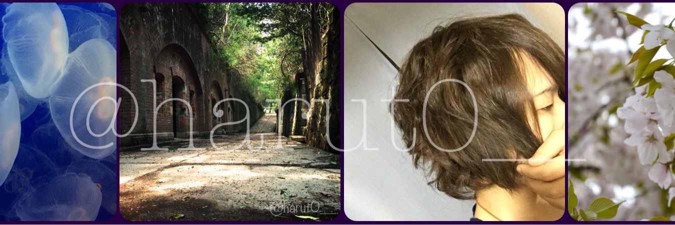 harut0__'s profile banner image