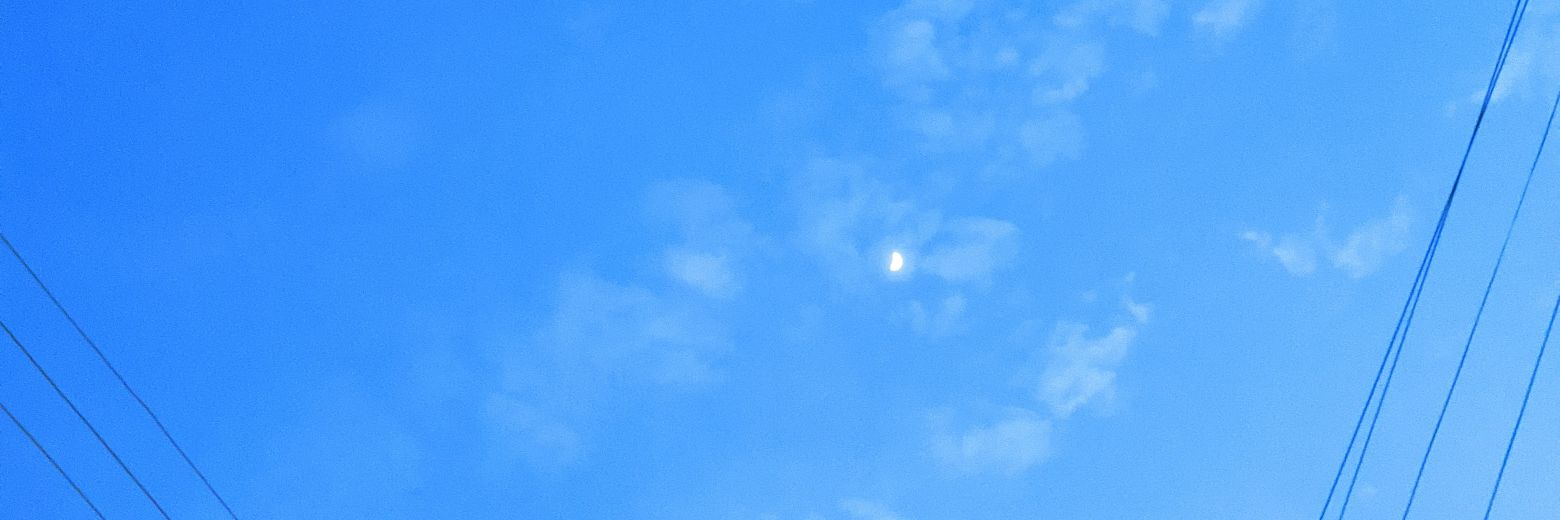 Y_day1's profile banner image