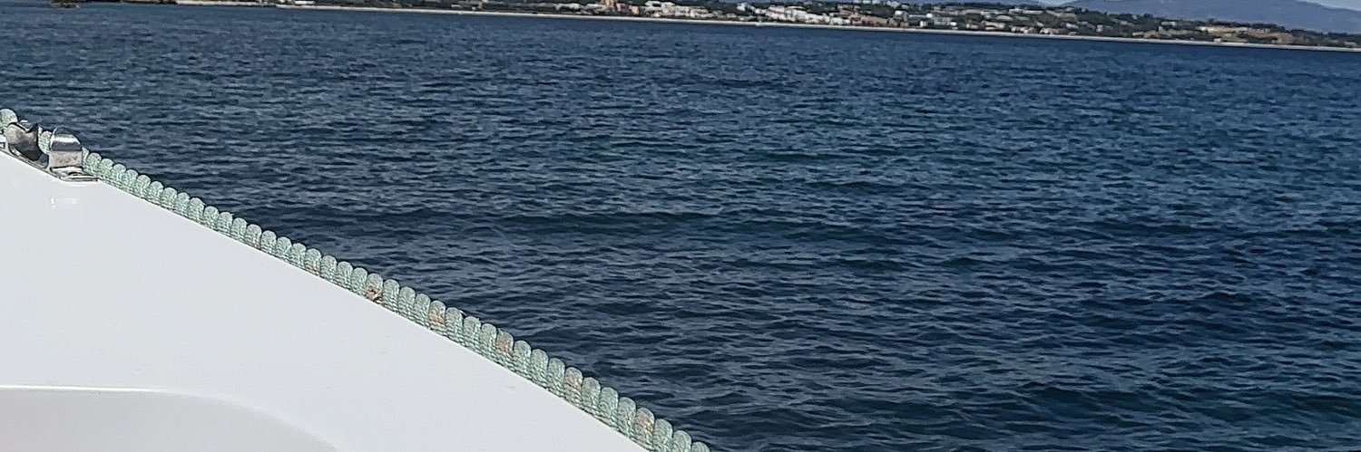 ALAYMAN1960's profile banner image