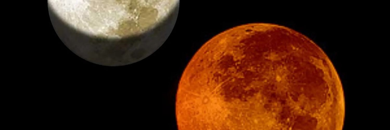shaavenido's profile banner image
