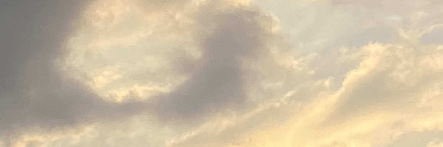 bespiroo's profile banner image