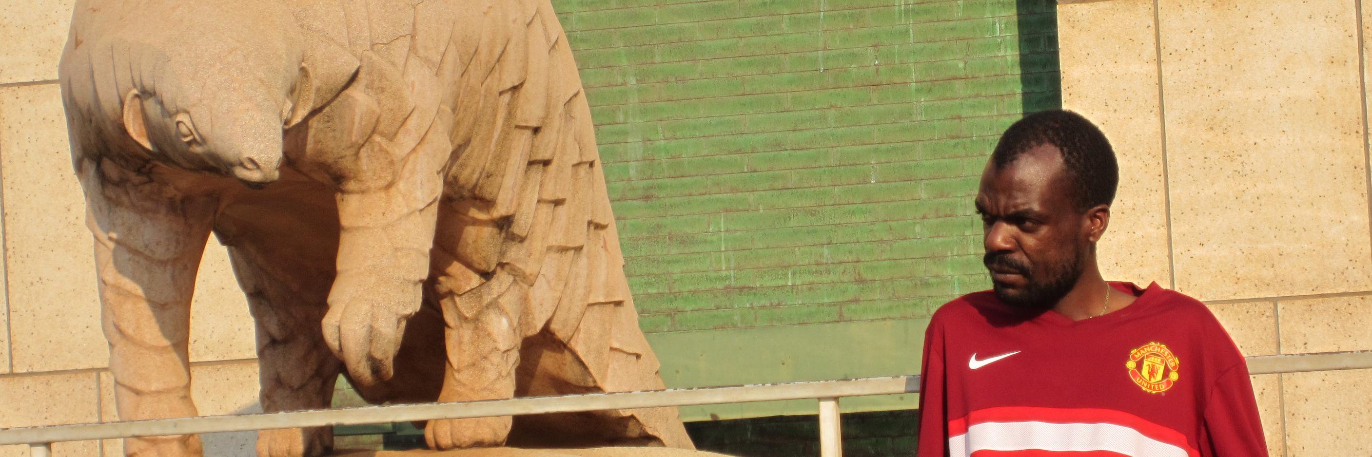 nmuvavarirwa's profile banner image