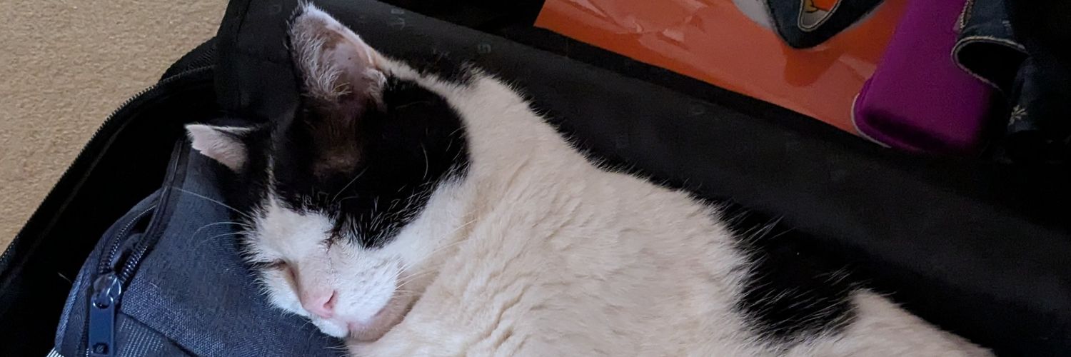 ちゅるです。 banner