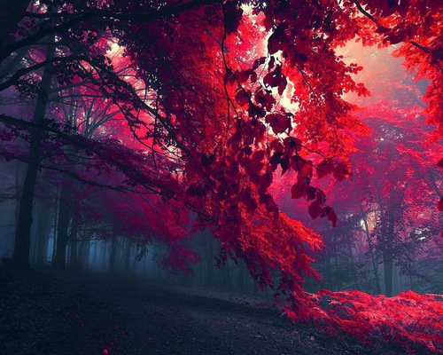 qnohmote's profile banner image