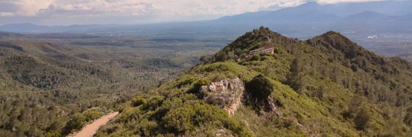 alextivenys Profile Banner