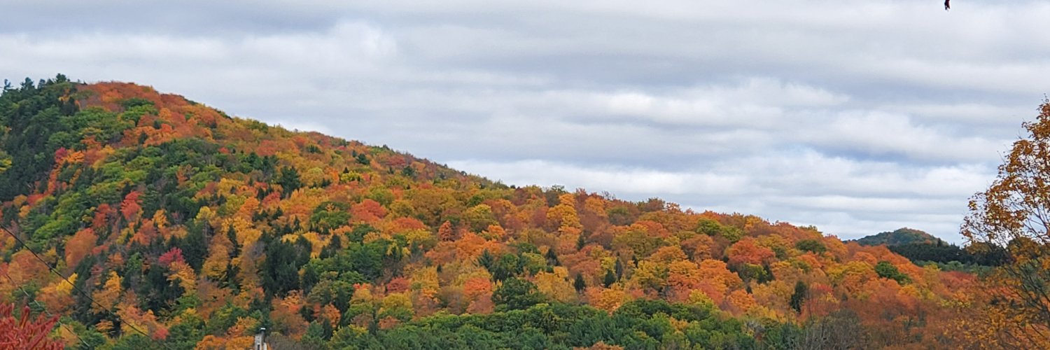 Lizinthe802's profile banner image
