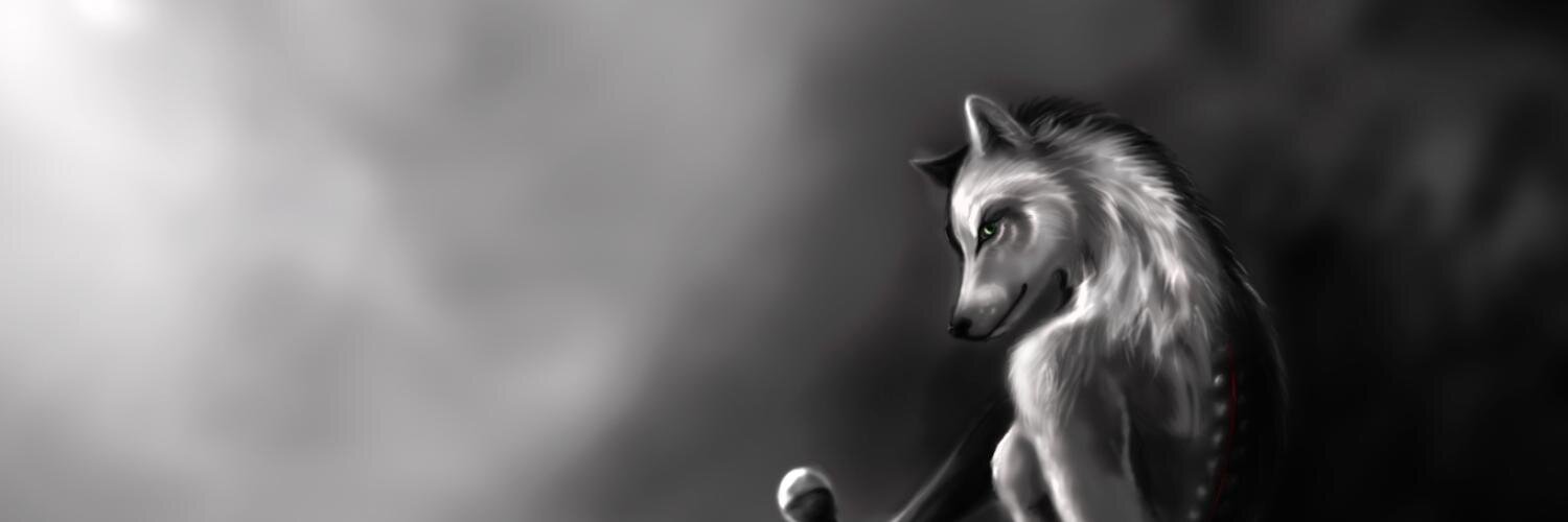 Dividedwolf's profile banner image